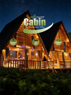 Sunflower Villa Dieng dengan Fasilitas Lengkap dan Harga Terjangkau
